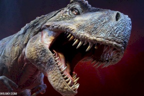 علماء يفكّون لغز "الحب بين الديناصورات"