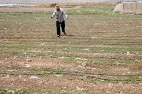 الاحتلال يطلب من فلسطينيين التفاوض على أراضيهم مع مستوطنين