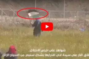 فيديو: لحظة قنص الاحتلال فتاة في غزة 