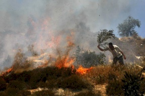 مستعمرون يضرمون النار في أراض زراعية برنتيس