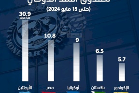 أعلى 5 دول مديونية لصندوق النقد الدولي