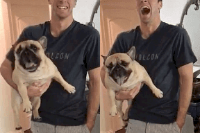 فيديو| كلب يعترض على عدم اصطحابه في نزهة بطريقة طريفة