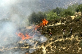 مستوطنون يحرقون اراض جنوب نابلس
