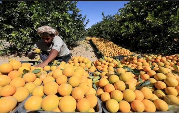 خطة اسرائيلية جديدة في غور الاردن 