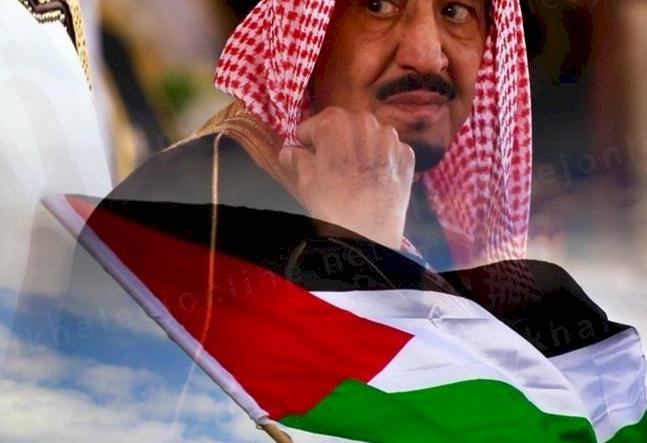 العاهل السعودي: فلسطين قضية العرب الأولى