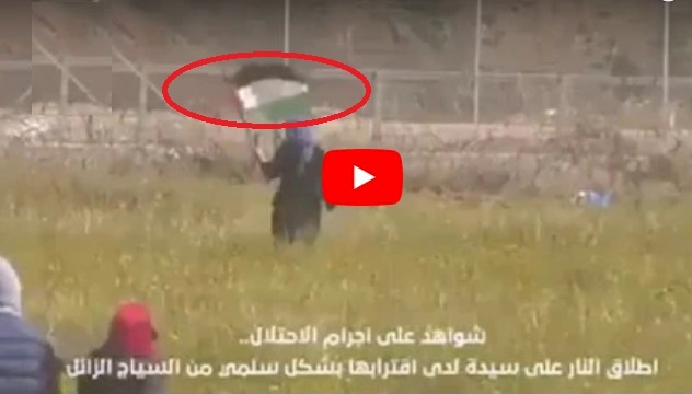 فيديو: لحظة قنص الاحتلال فتاة في غزة 