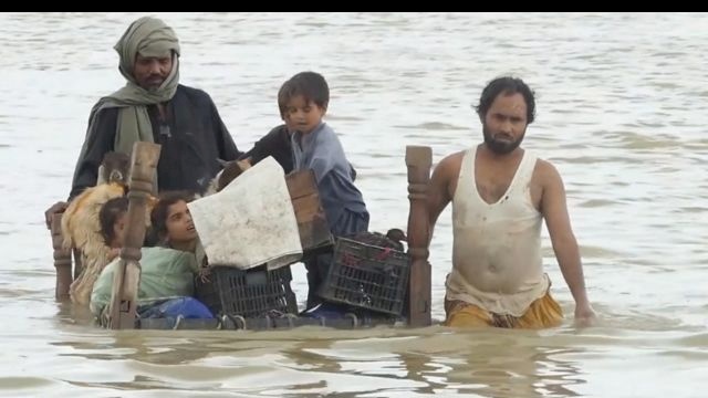 "الأوقاف" توضح موعد بدء وانتهاء حملة إغاثة منكوبي باكستان