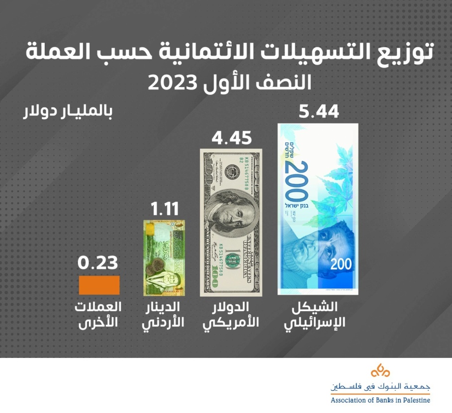 توزيع التسهيلات الائتمانية حسب العملة خلال النصف الأول من 2023