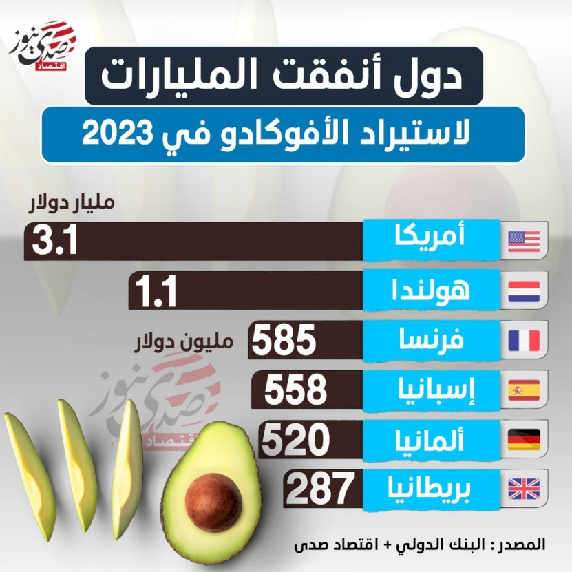 الدول الأكثر استيراداً للأفوكادو خلال 2023